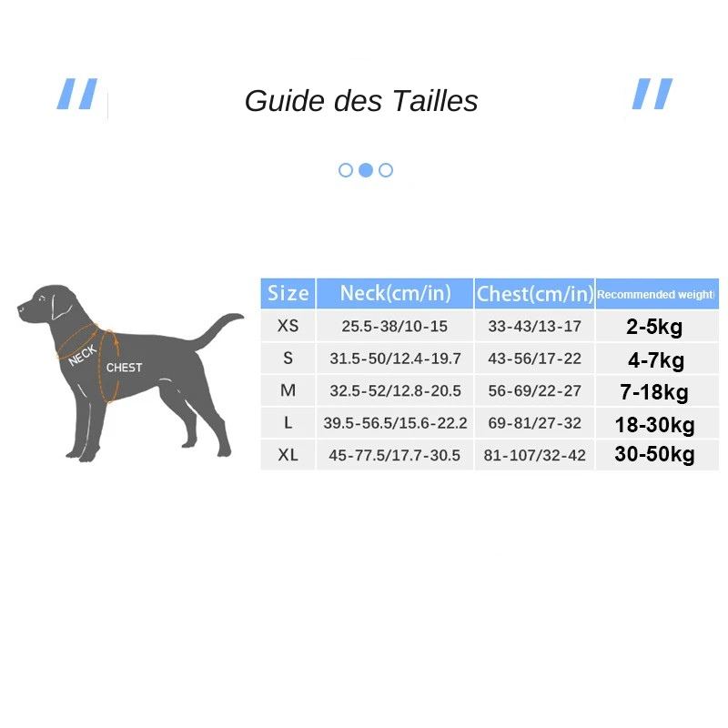 Harnais de Sécurité Réfléchissant pour Chiens