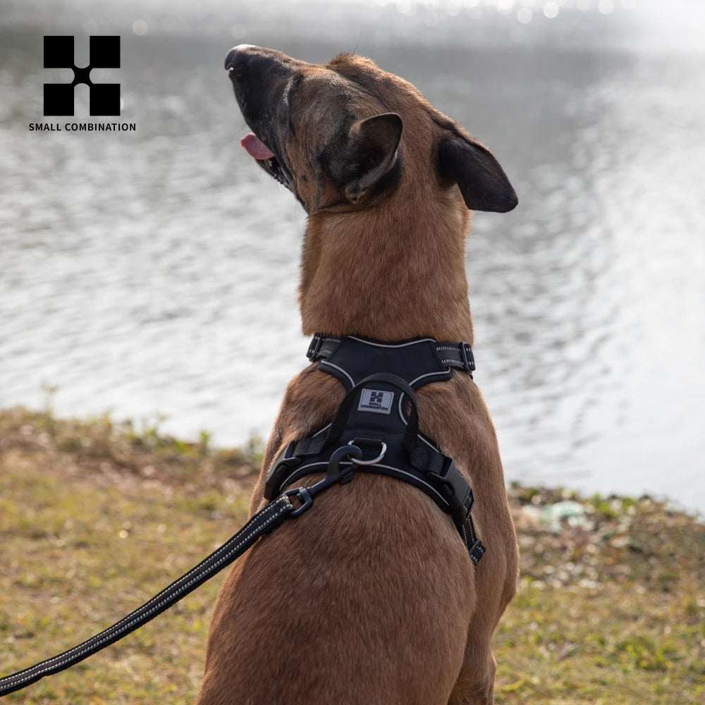 Harnais de Sécurité Réfléchissant pour Chiens
